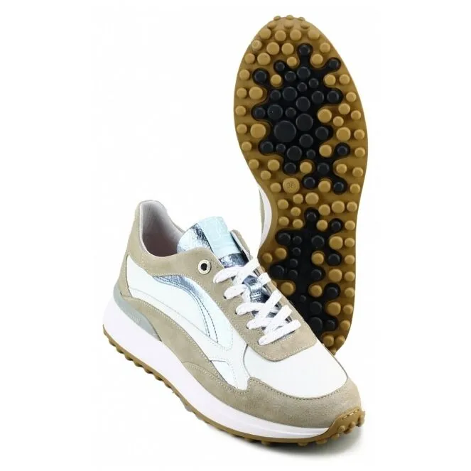 FLORIS VAN BOMMEL SFW10079 NOPPI 17.19 SNEAKERS BRUIN